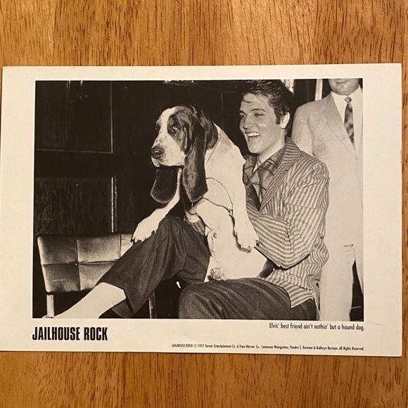 Jailhouse Rock Elvis' best friend ain't nothin' but a hound dog - Picture 2 of 5